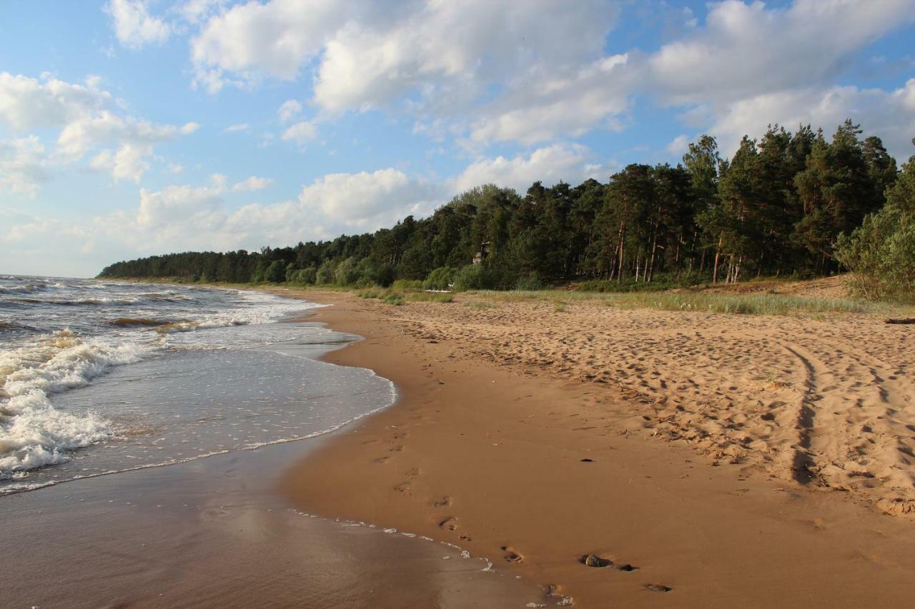 Villa Neubad Saulkrasti Bagian luar foto